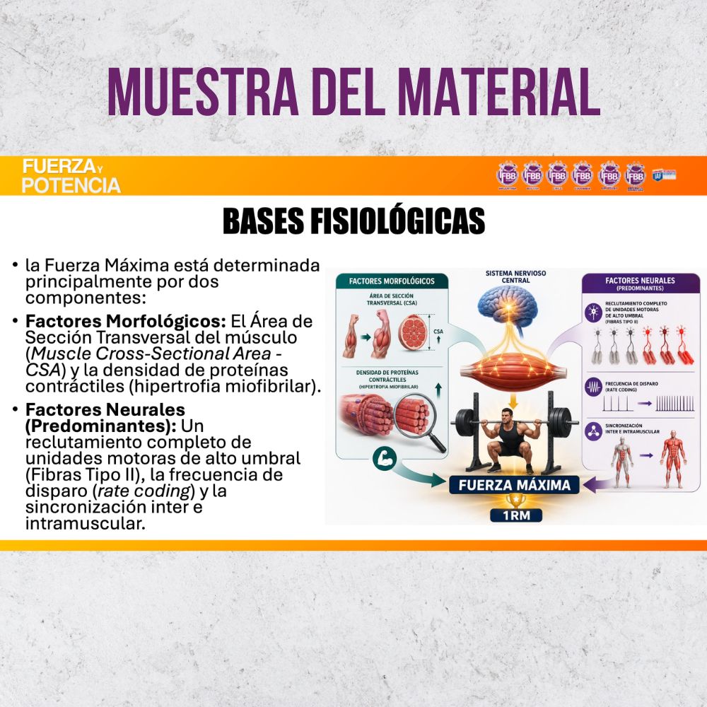 Curso: Fuerza y Potencia - Imagen 4