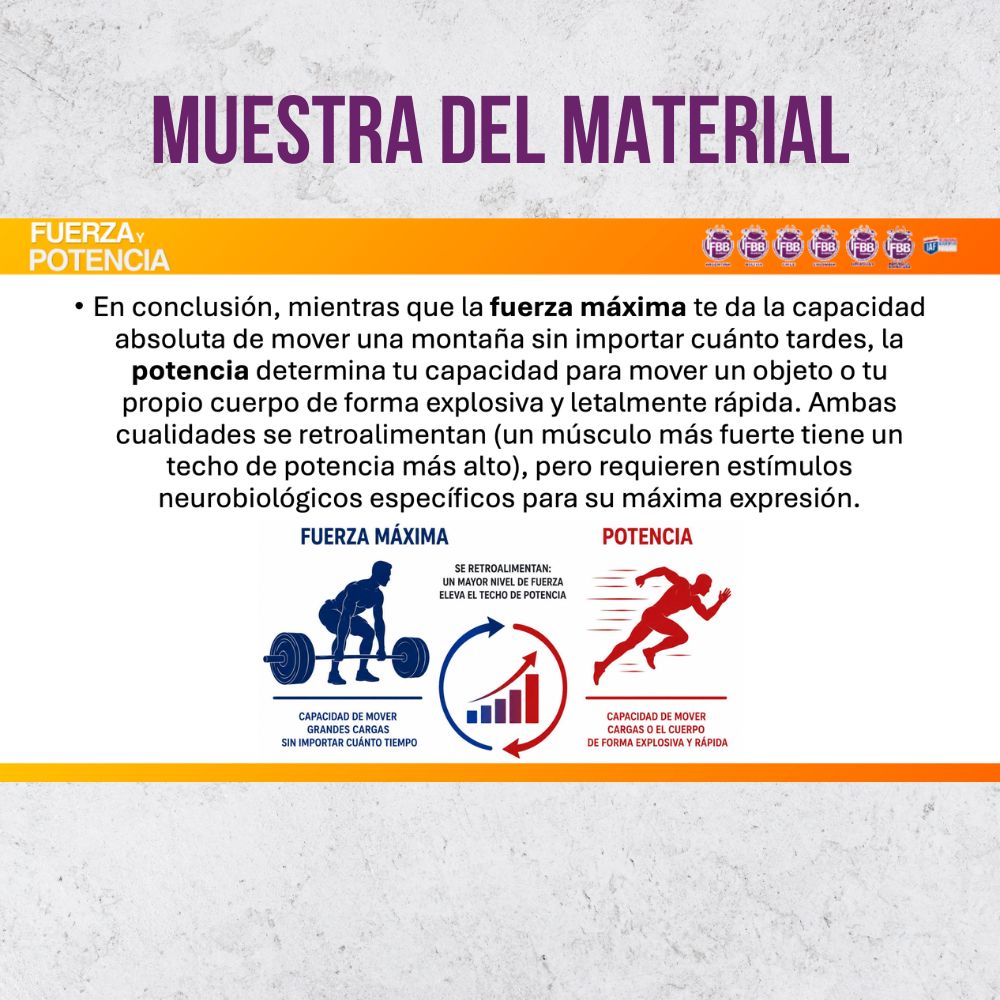 Curso: Fuerza y Potencia - Imagen 5
