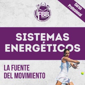 Curso: Sistemas energéticos
