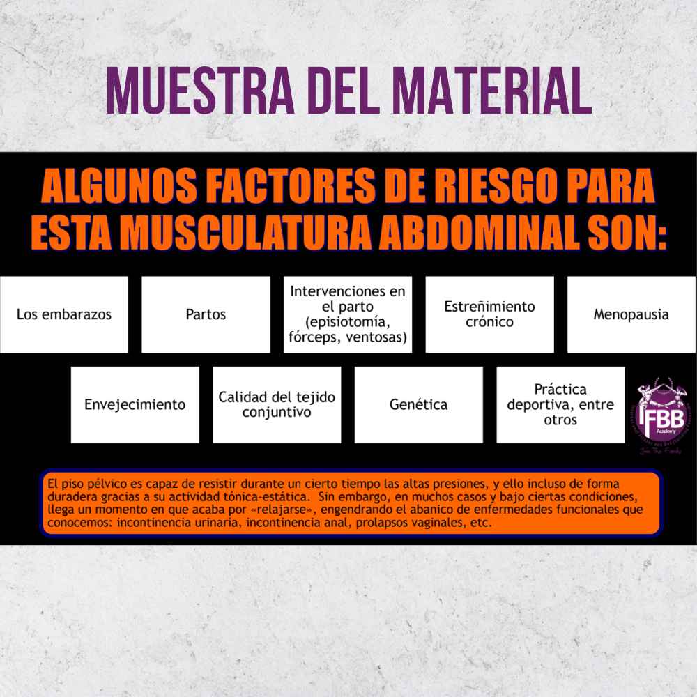 Curso: Abdominales Hipopresivos - Imagen 2
