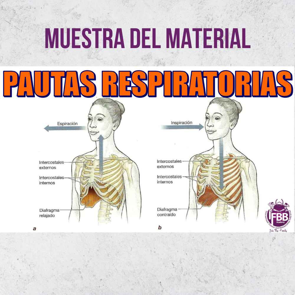 Curso: Abdominales Hipopresivos - Imagen 4