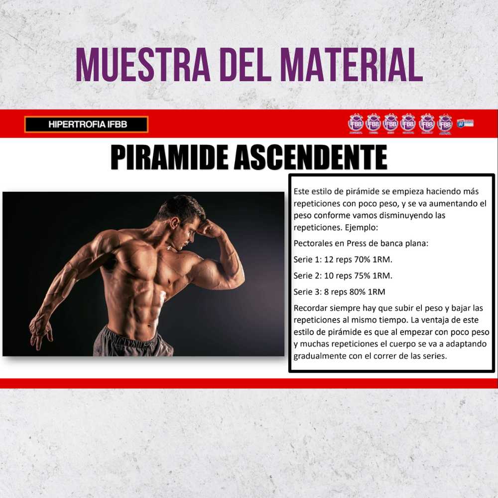 Curso: Hipertrofia IFBB - Imagen 6